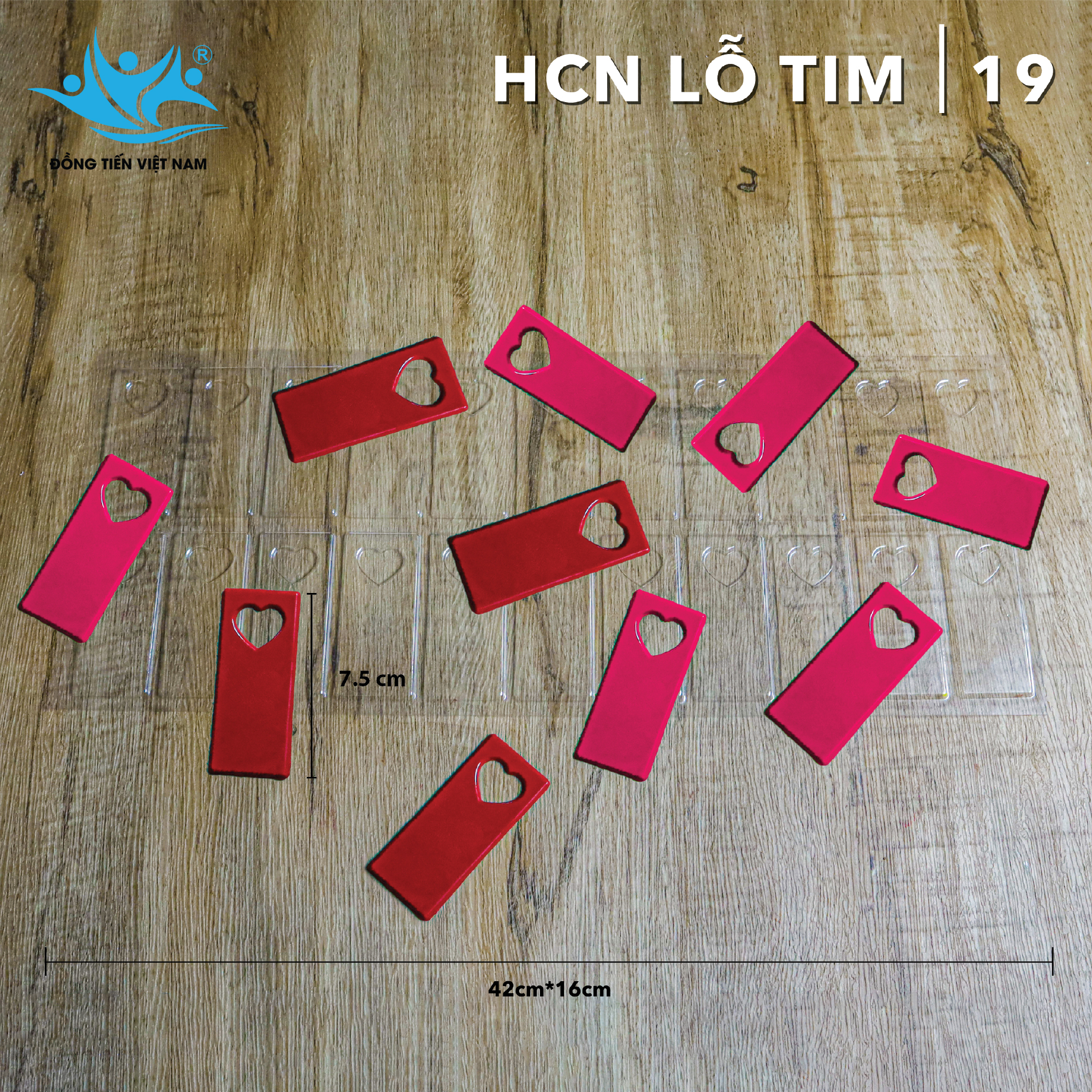 Khuôn Socola Định Hình-HCN Lỗ Tim