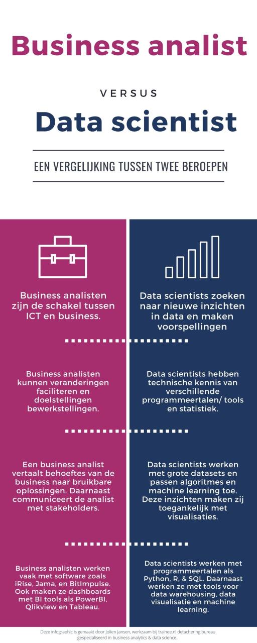 Business Analist V.S. Data Scientist - Breinstein
