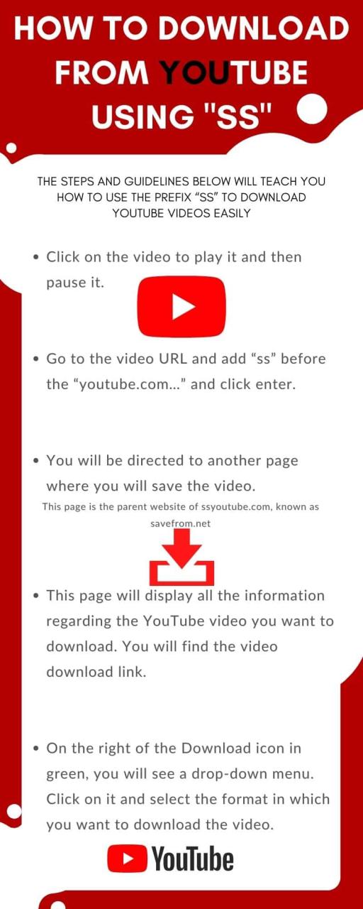How To Download From Youtube Using Ss (Step-By-Step Guide) - Legit.Ng
