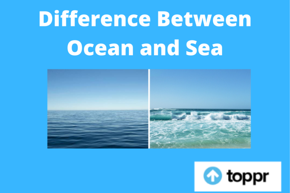 Difference Between Ocean And Sea | Sea Vs Ocean Comparison